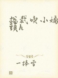 总裁吃小娇妻奶头h