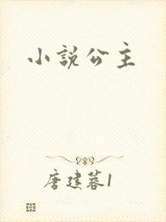 小说公主