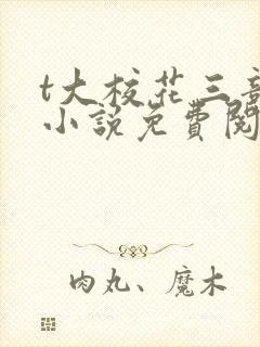 t大校花三部曲小说免费阅读全文