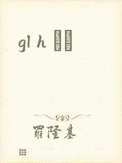 gl h С˵封面