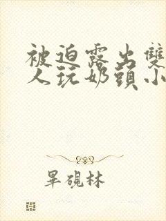 被迫露出双乳供人玩奶头小说