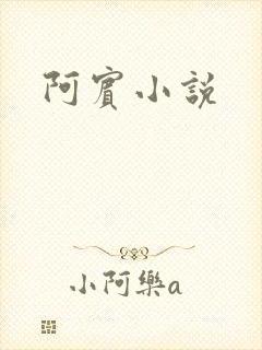 阿宾小说