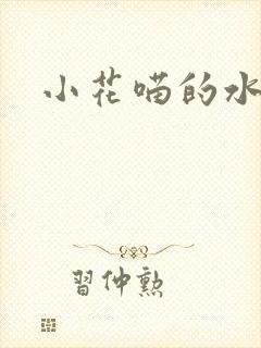 小花喵的水蜜桃