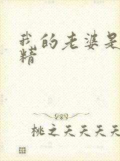 我的老婆是狐狸精