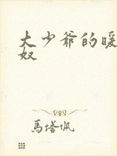 大少爷的暖床小奴