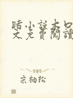 赌小说木口银全文免费阅读笔趣阁