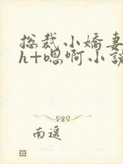 总裁小娇妻h+h+嗯啊小说