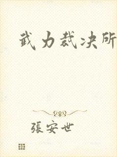 武力裁决所封面