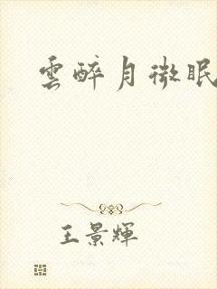 云醉月微眠封面