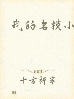 我的名模小娇妻