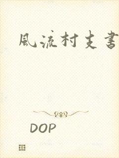 风流村支书