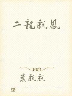 二龙戏凤封面