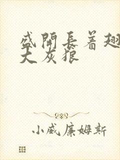 盛开长着翅膀的大灰狼