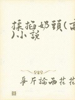 揉掐奶头(高h)小说