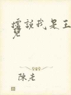 据说我是王的女儿封面