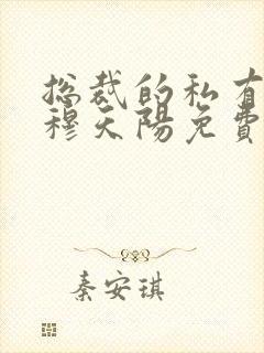 总裁的私有宝贝穆天阳免费封面