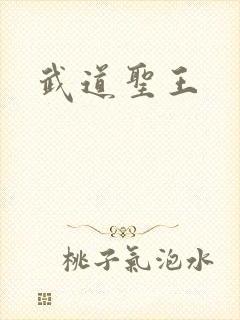 武道圣王