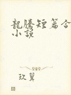 龙腾短篇合集的小说