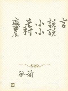 恋老小说言情网农村小说