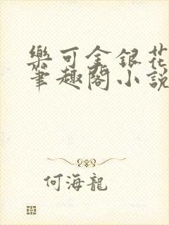 乐可金银花免费笔趣阁小说