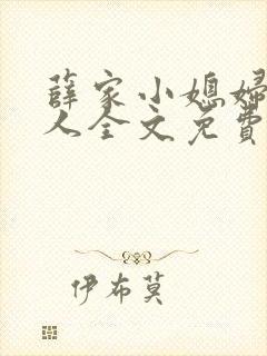 薛家小媳妇笑佳人全文免费阅读笔趣阁小说封面