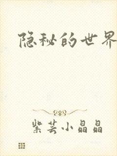隐秘的世界封面