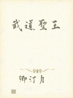 武道圣王