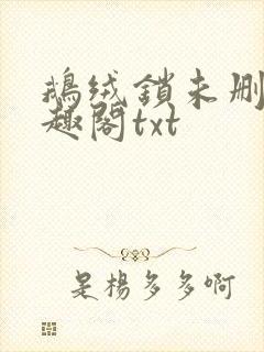 鹅绒锁未删除笔趣阁txt封面