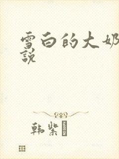 雪白的大奶子小说
