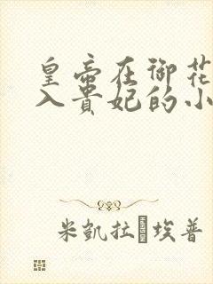 皇帝在御花园进入贵妃的小说封面