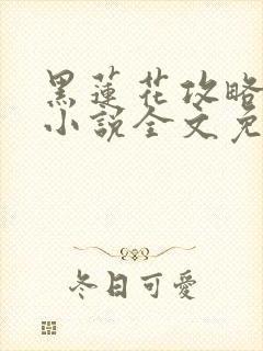 黑莲花攻略手册小说全文免费阅读笔趣阁封面
