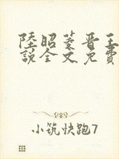 陆昭菱晋王的小说全文免费阅读