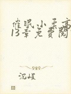 催眠小柔高达第13章免费阅读