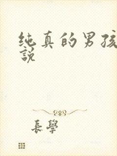 纯真的男孩子小说