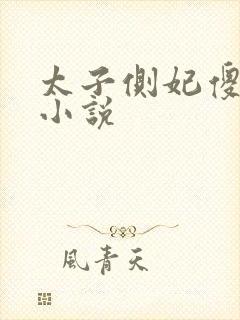 太子侧妃傻乎乎小说