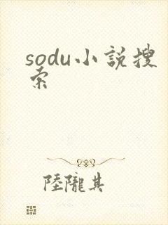 sodu小说搜索
