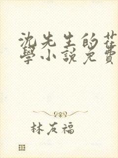 沈先生的花式教学小说免费