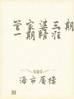 管家婆三期必开一期精准