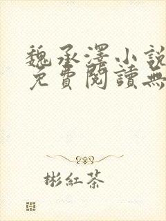 魏承泽小说全文免费阅读无弹窗笔趣封面