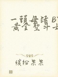 一头母猪 BY 黄金圣斗士