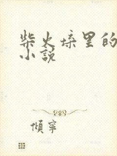 柴火垛里的疯狂小说