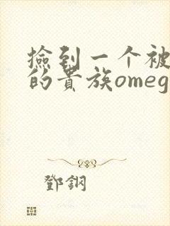 捡到一个被抹布的贵族omega