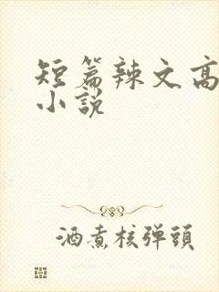 短篇辣文高h文小说封面