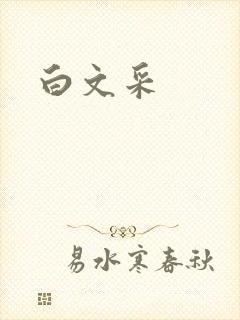 白文采封面