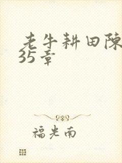 老牛耕田陈雪435章封面