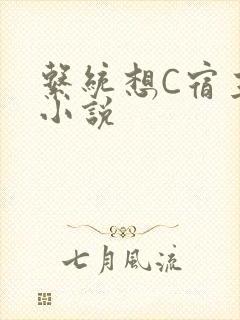 系统想C宿主的小说