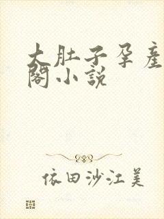 大肚子孕产笔趣阁小说