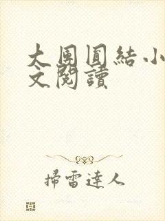 大团圆结小茹全文阅读封面