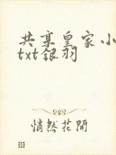共享皇家小公主txt银羽封面