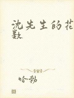 沈先生的花式调数